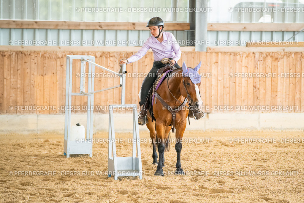 DSC07103 | Pferdegrafie