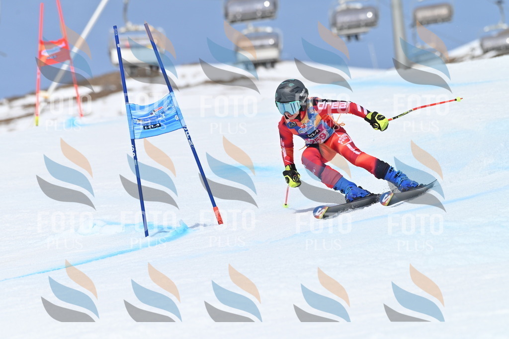 BGV_2053 | holidayphoto