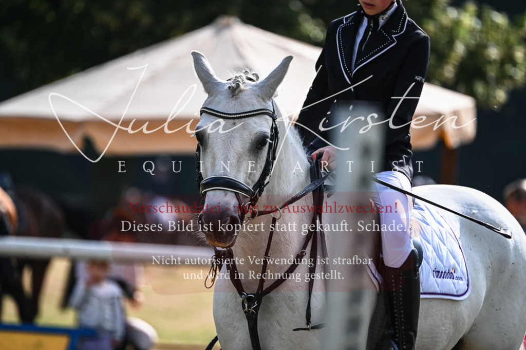 DSC_7711 | Pferde- und Turnierfotografie in Westsachsen. Pferdeportraits, Auftragszeichnungen und intuitive Kunst.