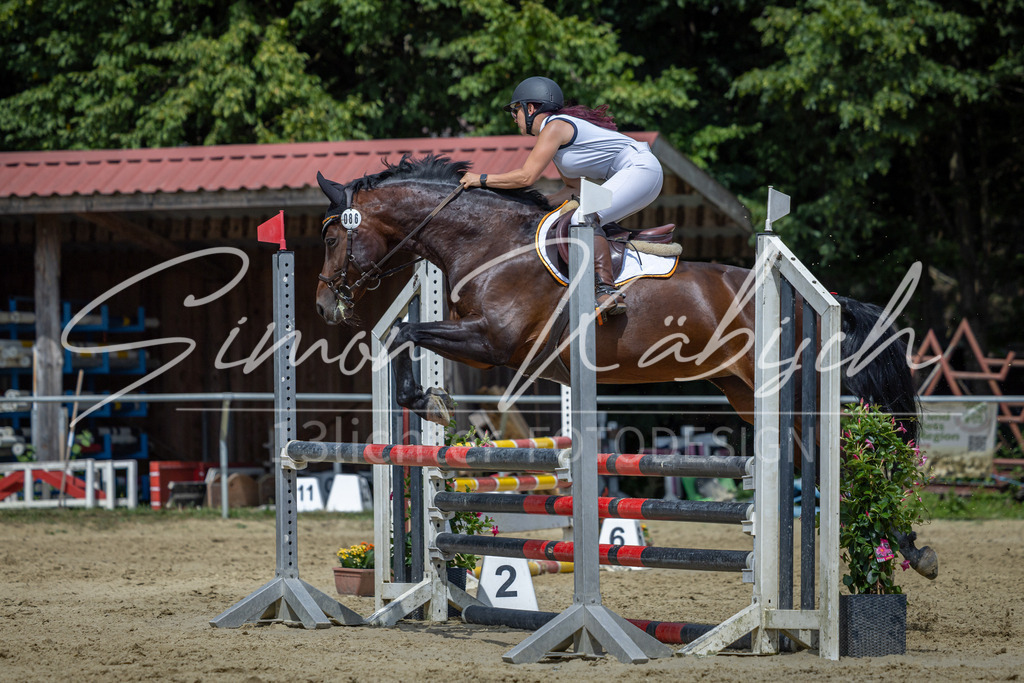 20260704-_3LI0545 | Tierfotografie Pferde, Hunde, Katzen, Haustiere.
Turnierfotografie Reitturniere, Reiten, Springreiten, Dressur in Hanau, dem Main-Kinzig-Kreis und dem Rhein-Main- Gebiet um Frankfurt