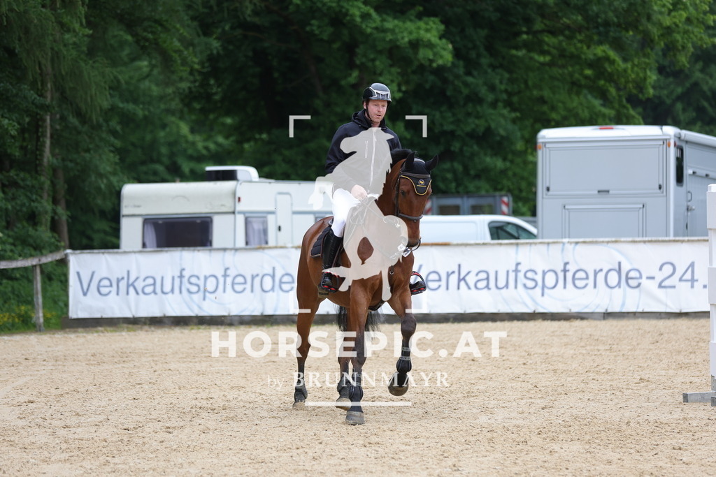 0P6A1626 | Willkommen bei Brunnmayr - Design & Fotografie – Ihrem Spezialisten für Reitturniere und Pferdeveranstaltungen in Oberösterreich, Salzburg und Bayern! Seit über 17 Jahren sind wir leidenschaftlich dabei.