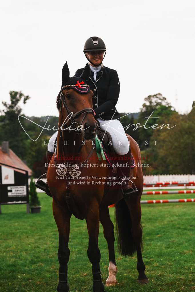 DSC_6692 | Pferde- und Turnierfotografie in Westsachsen. Pferdeportraits, Auftragszeichnungen und intuitive Kunst.