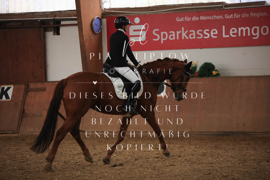 IMGT6977 | pl-fotografie