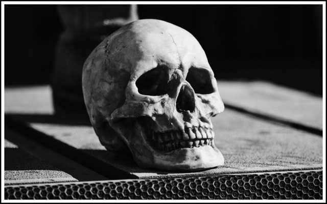 _DSF0820-Portait-border-70px | blende43