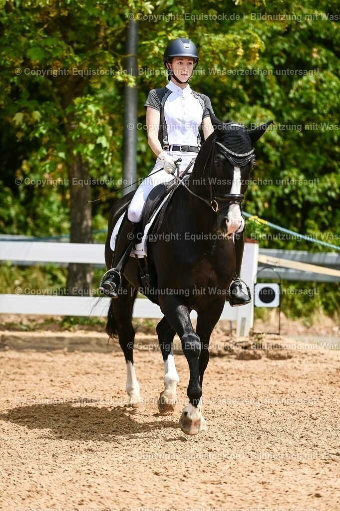 20230715_05_Dressurprüfung Kl.A++_0142 | equistock