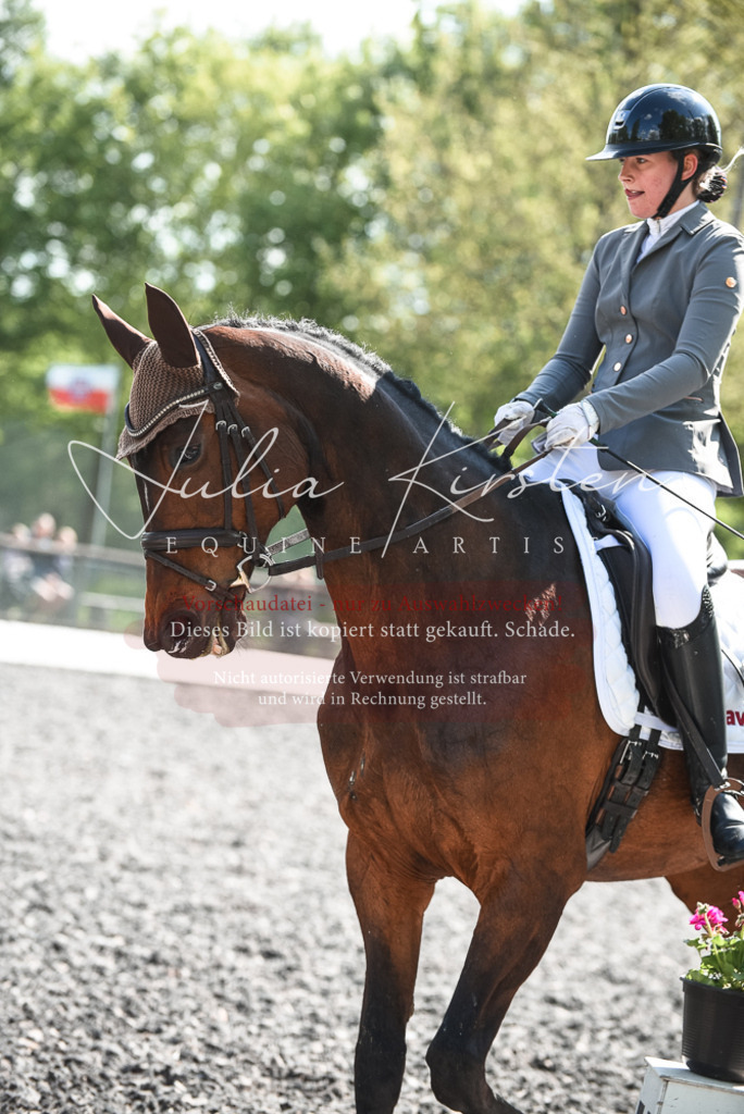 DSC_8967 | Pferde- und Turnierfotografie in Westsachsen. Pferdeportraits, Auftragszeichnungen und intuitive Kunst.