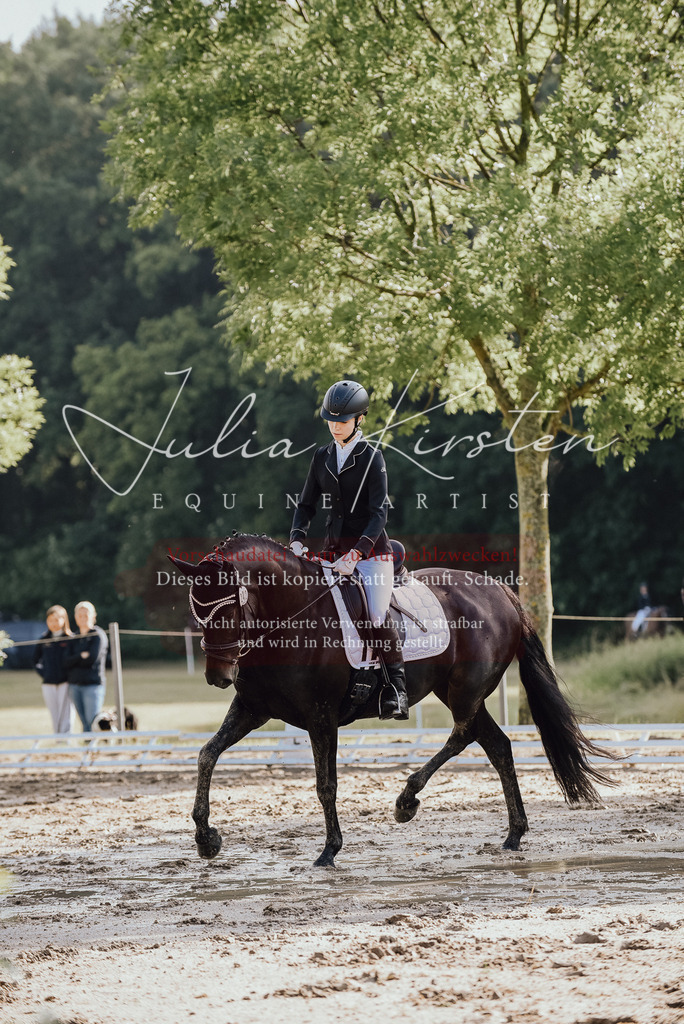 DSC_7812 | Pferde- und Turnierfotografie in Westsachsen. Pferdeportraits, Auftragszeichnungen und intuitive Kunst.