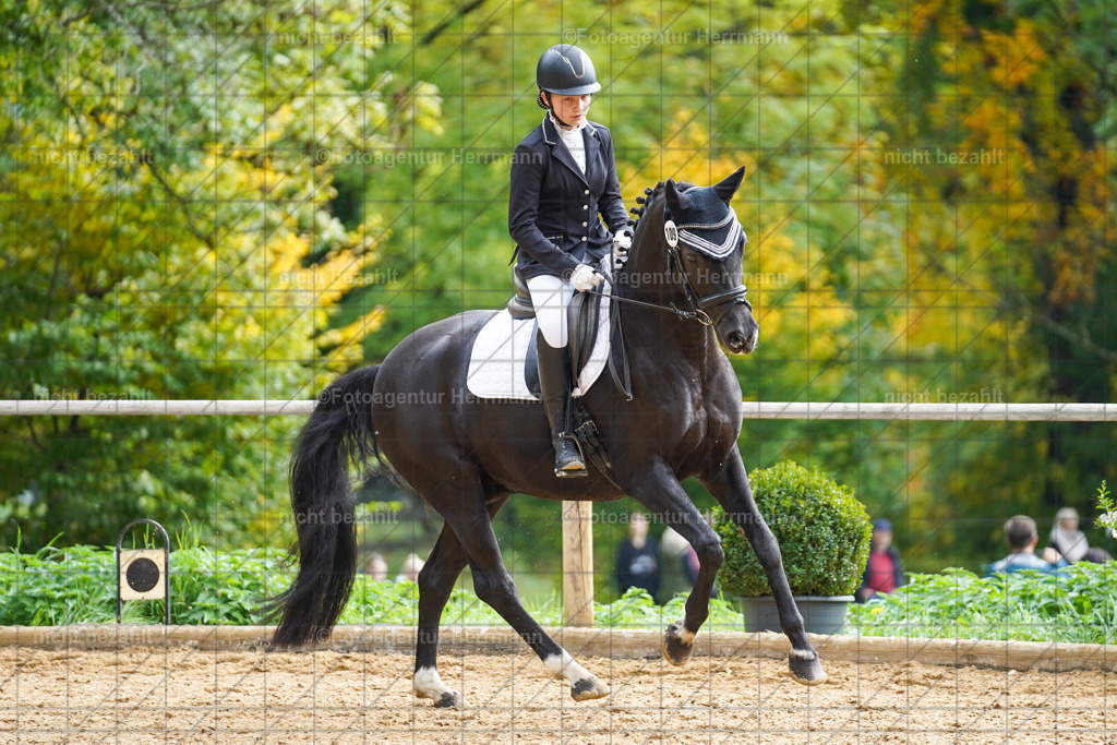 20221008-FAH01349 | Diessen am Ammersee, 2022, Dressur- und Springturnier, Reitsportbilder, Turnierfotografen Bayern, Pferdefotografen, Fotoagentur Herrmann, Turnierbilder
