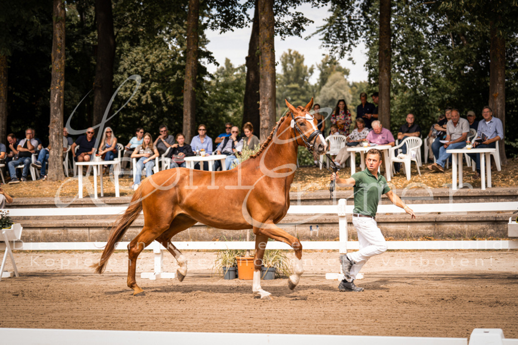 4.Fr00147 | Leoni Ertmer Photography - Realisiert mit Pictrs.com