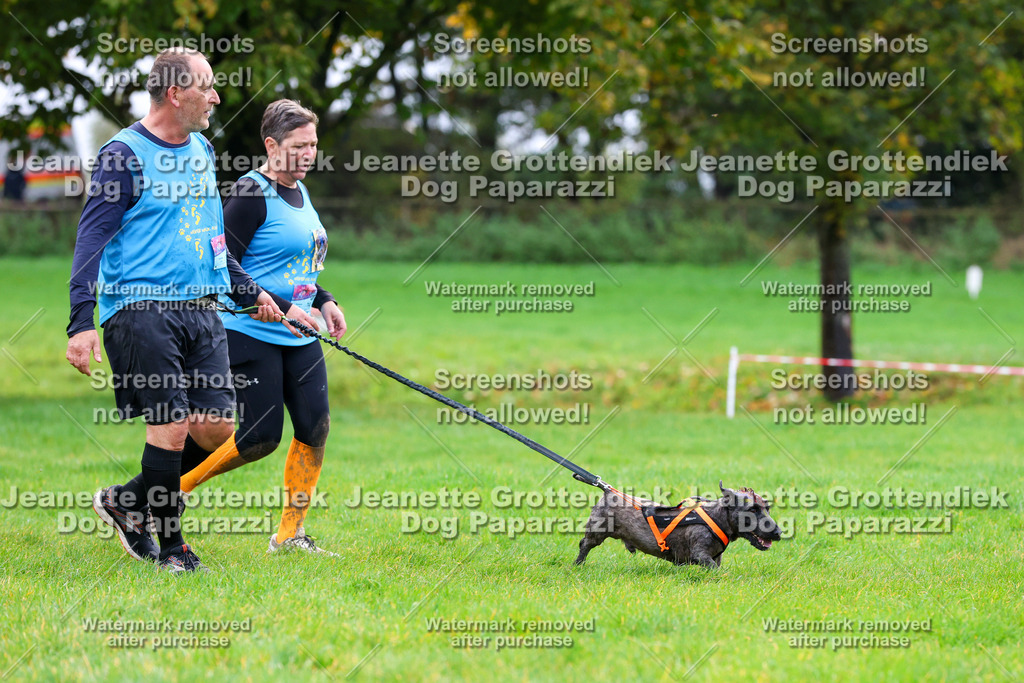 Dog Paparazzi -  SD1026-1110 | Dog Paparazzi Jeanette Grottendiek Fotografie & Videografie - Realisiert mit Pictrs.com