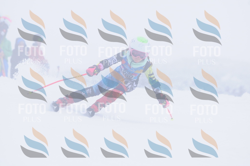 C2821 | holidayphoto