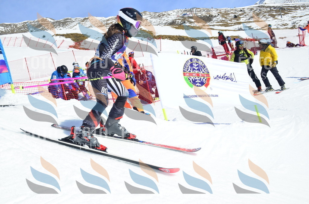 _ELE1013 | holidayphoto