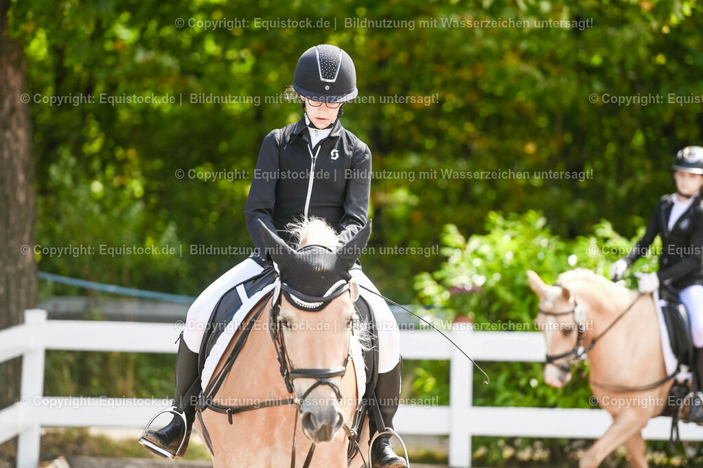 20230716_10-3_Reiter-WB Schritt - Trab - Galopp_0006 | equistock