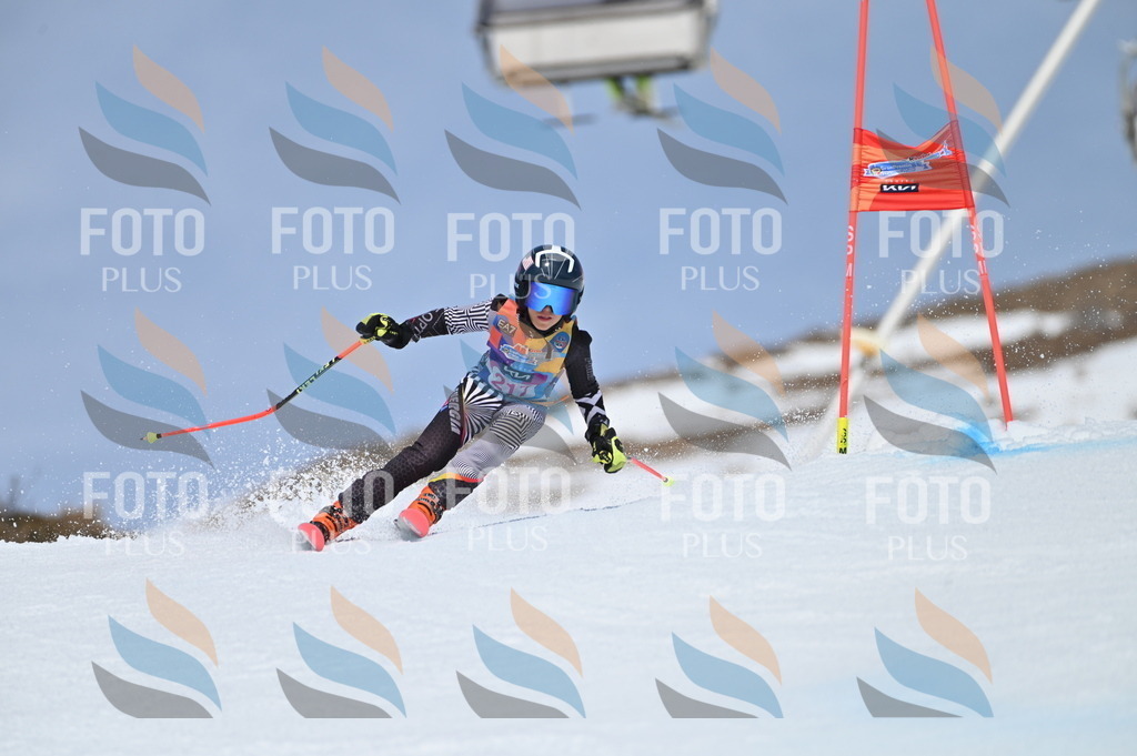 BGV_1251 | holidayphoto