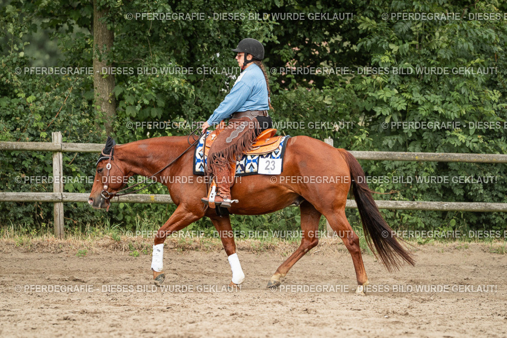 DSC03266 | Pferdegrafie