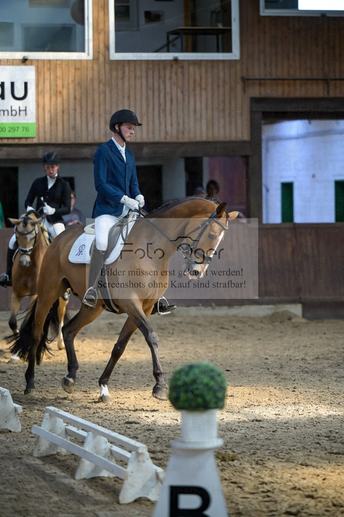 Reitturnier Voxtrup | Entdecke hochwertige Reitturnierfotos von Foto Oger. Professionell, emotional und authentisch – jetzt Lieblingsmomente im Shop bestellen.Deutschlandweite Turnierfotografie. - Realisiert mit Pictrs.com