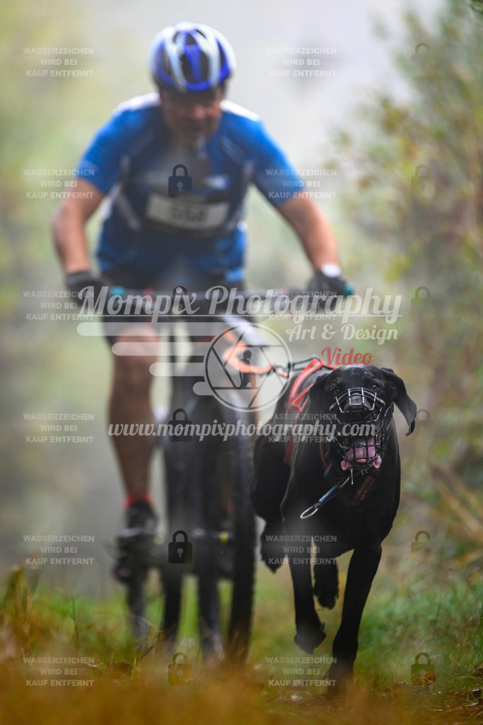 MompixPhotography_20TSB_E4_Bike-51 | PayLife