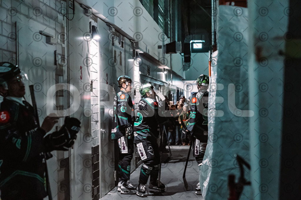 Alligators_vs_Toelz_18_11_2025-10 | Höchstadt Alligators Fotogalerie: Eishockey-Action aus Franken. Professionelle Spielfotos, Portraits & Stadionbilder zum Download. Jetzt entdecken! - Realisiert mit Pictrs.com