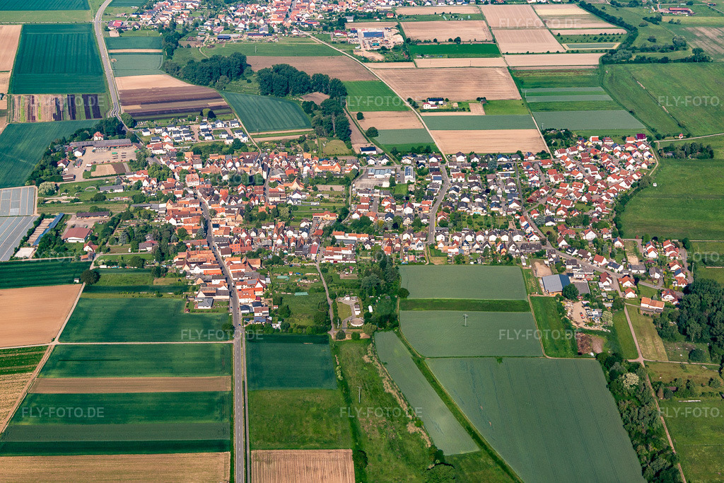 Luftbild: Ortsansicht am Rande von landwirtschaftlichen Feldern und Nutzflächen in Knittelsheim im Bundesland Rheinland-Pfalz in Deutschland. Foto: IMG_114266.jpg vom 26.05.2019 durch Werner Riehm/FLY-FOTO.de