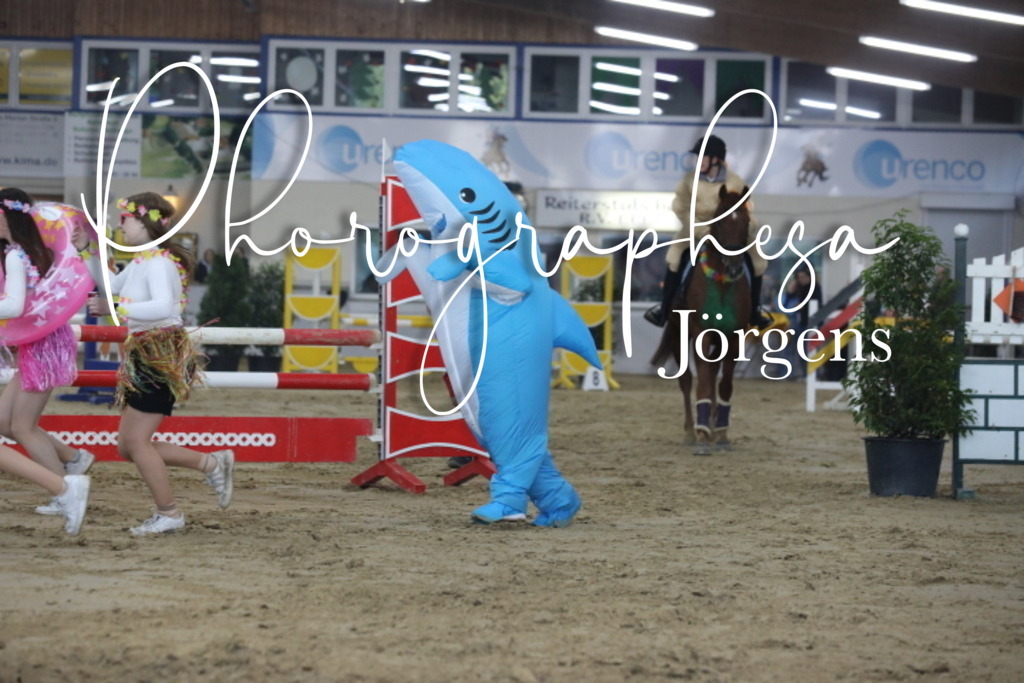 IMG_1933 | photographesa-joergens - Realisiert mit Pictrs.com