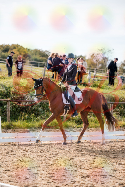 2026_10_03_Siefer-Hof_132820_Z63_88831359 | Professionelle Reitsport-, Turnier- und Eventfotografie von Robert Broda. Galerien mit ausgewählten und bearbeiteten Bildern direkt online ansehen und bestellen.