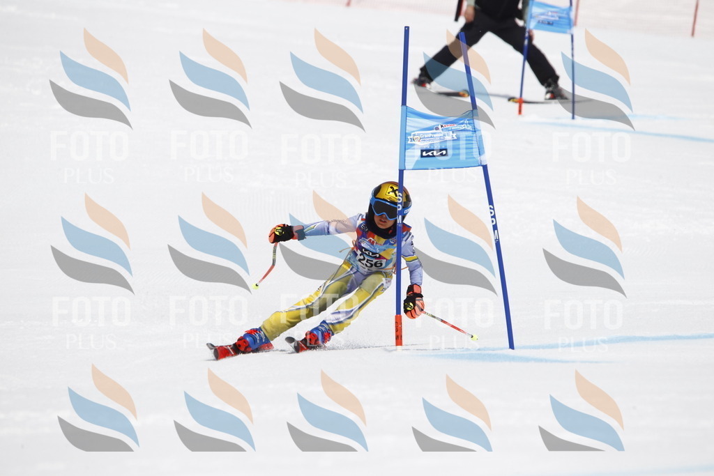 _U3G6427 | holidayphoto