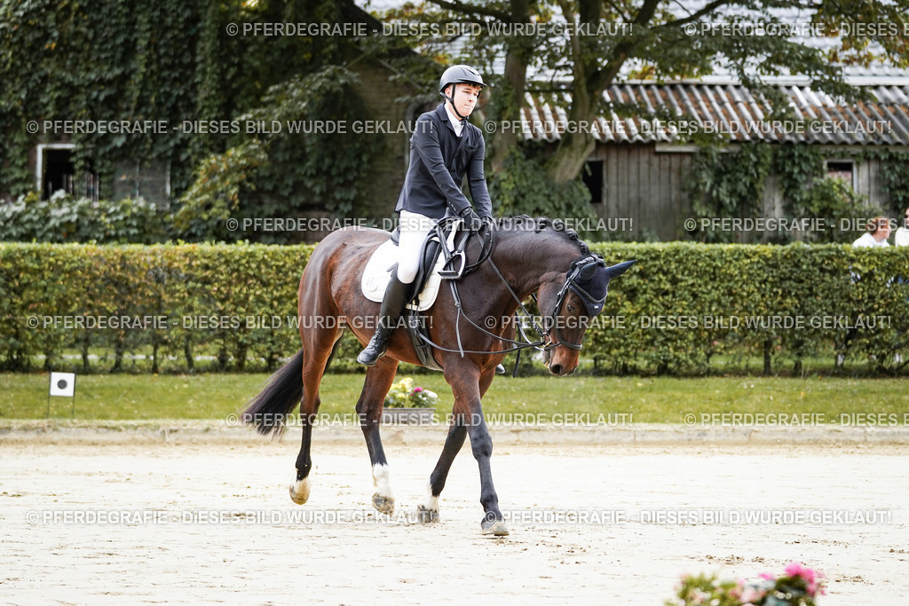 DSC04618 | Pferdegrafie