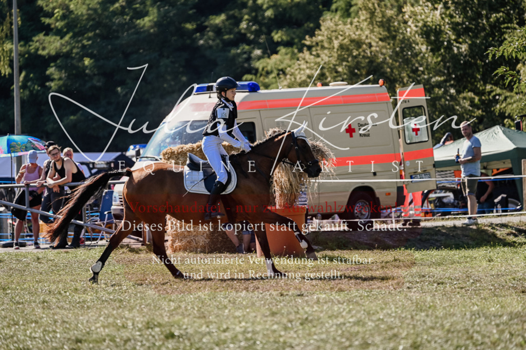 DSC_3453 | Pferde- und Turnierfotografie in Westsachsen. Pferdeportraits, Auftragszeichnungen und intuitive Kunst.