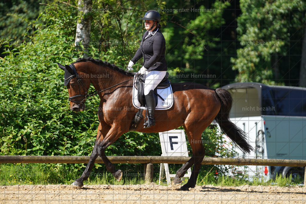 20240706-FAH04618 | Grafing Turnierfotos, Reitverein Ebersberg, Turnierfotografen Bayern, reitsportbilder, Pferdefotograf, reitsportfotograf, Sportbilder, Reitsportfotografie, Fotoagentur Herrmann, Turnierfotograf