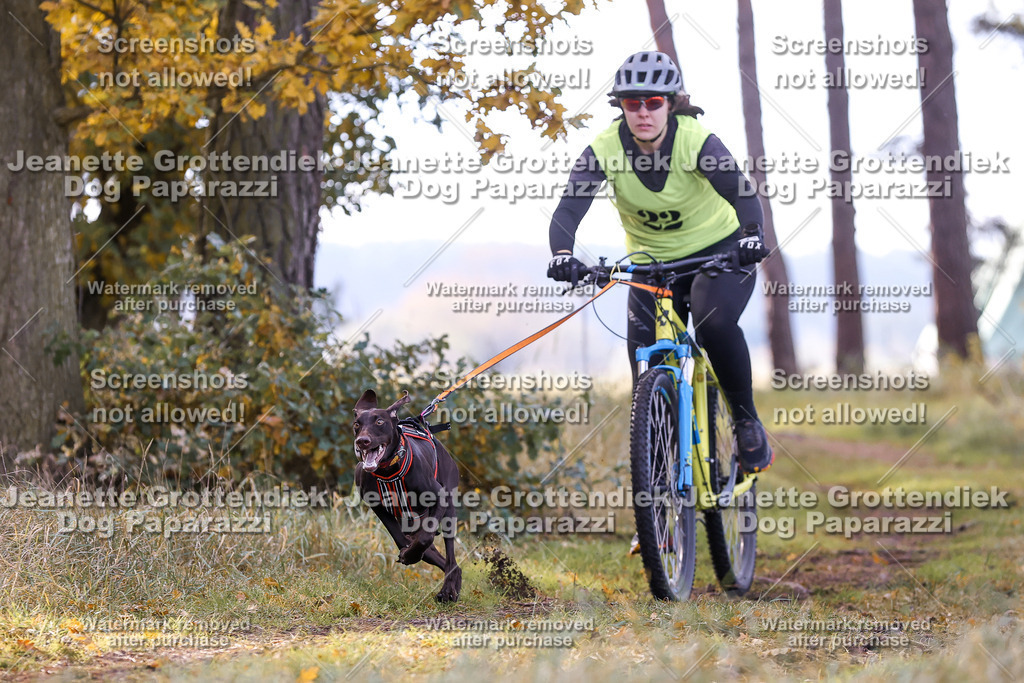 Dog Paparazzi - Elsholz 25 -106 | Dog Paparazzi Jeanette Grottendiek Fotografie & Videografie - Realisiert mit Pictrs.com