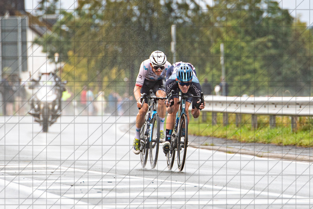@Martin König_20230825__DSC5268 | bullenfotos|de - Realisiert mit Pictrs.com