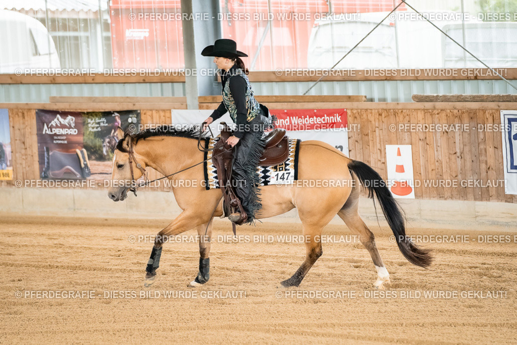 DSC02943 | Pferdegrafie