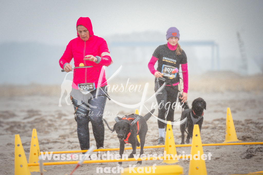 1108_ZZ96851 | kk-dogfotos