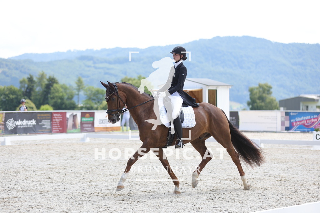 0P6A0649 | Willkommen bei Brunnmayr - Design & Fotografie – Ihrem Spezialisten für Reitturniere und Pferdeveranstaltungen in Oberösterreich, Salzburg und Bayern! Seit über 17 Jahren sind wir leidenschaftlich dabei.