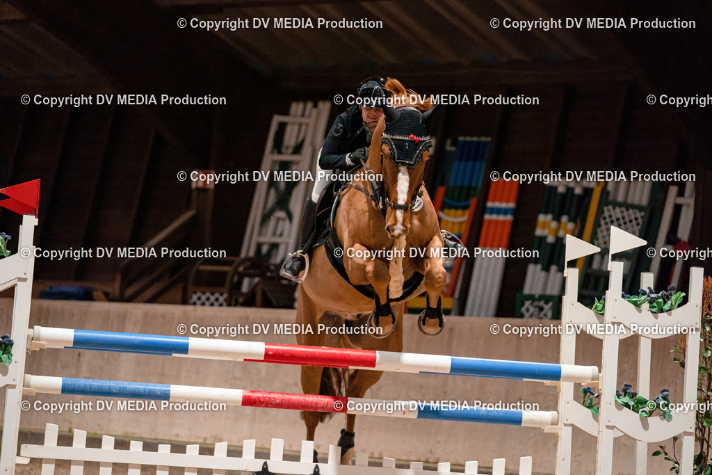 Springen Tag 2-810 | dv-media-shop - Realisiert mit Pictrs.com