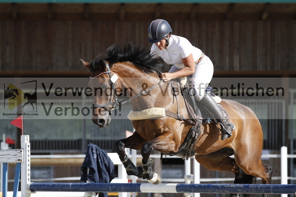 _MG_5392 | equestrian-live-com