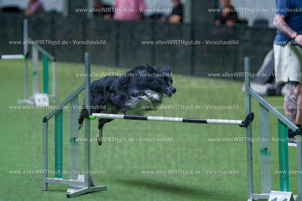 @allesWIRTHgut_Tierfotografie - www.allesWIRTHgut.de - 2604261520-7R505233 | Professionelle Tierfotografie in Mönchengladbach von Daniel Wirth (allesWIRTHgut). Liebevolle & natürliche Bilder von Hunden & Katzen für unvergessliche Erinnerungen.