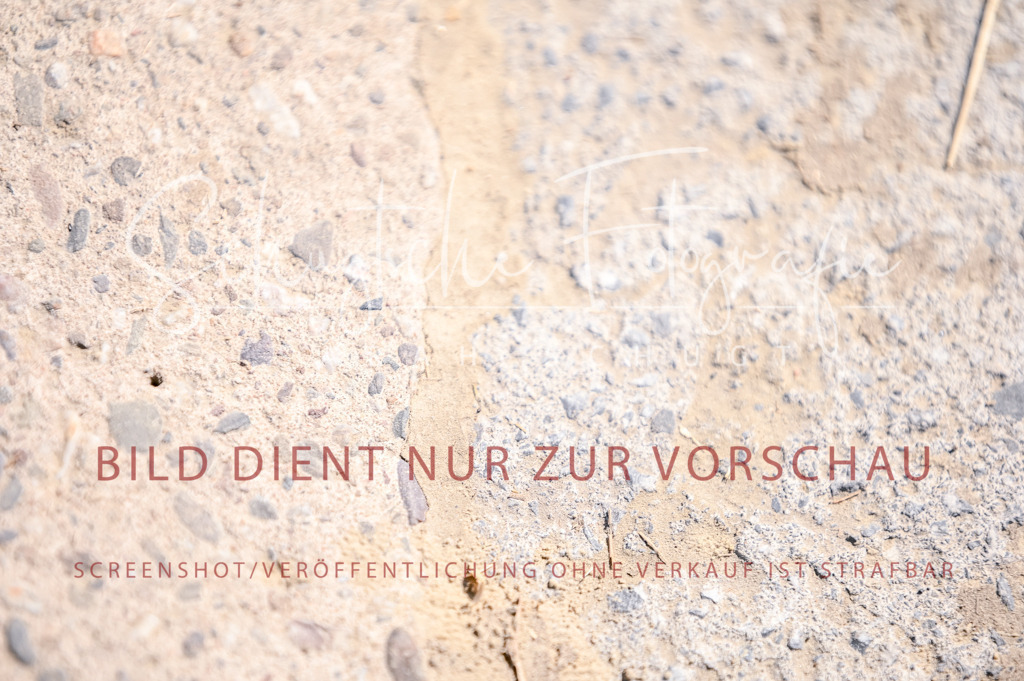Schugtsche-Aluta25-52.Dressurprf.M2Kand-453 | Schugtsche Fotografie - Realisiert mit Pictrs.com