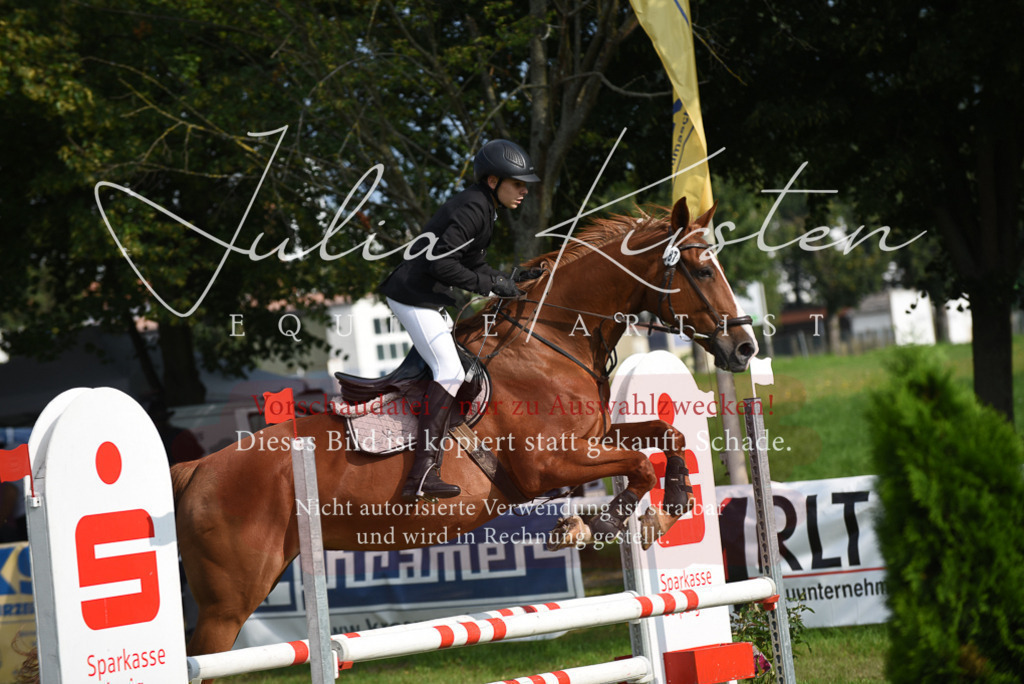 DSC_8803 | Pferde- und Turnierfotografie in Westsachsen. Pferdeportraits, Auftragszeichnungen und intuitive Kunst.