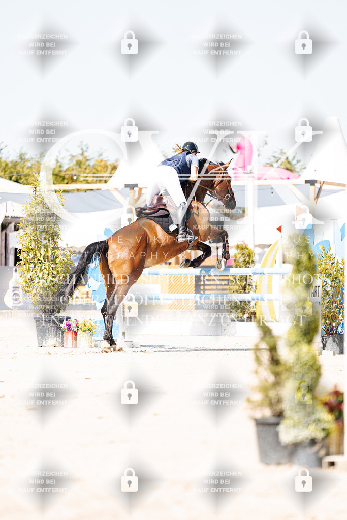 CK909475 | Turnierfotografie Pferdefotografie Trier Rheinland-Pfalz Pferdesport Reitsport Tierfotografie Sportfotografie Pferdevideo Pferdevideografie Equestrianvideography equestrianphotography  - Realisiert mit Pictrs.com