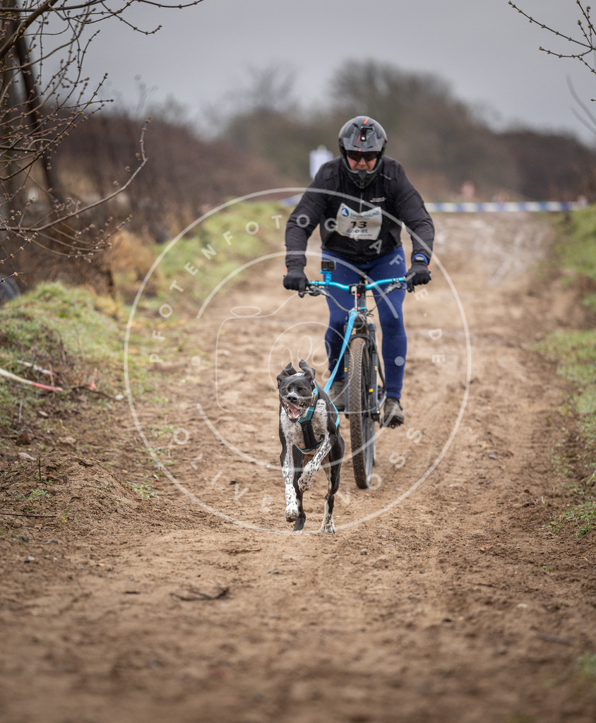 DV3A8942 | Hundefotografie, Tierfotograf, Pfotenfotografie, Fotoshooting Hund, Hunde Portrait, Hundesport, Hundeportraits, Heideshooting, Hunde, Sportfotograf, Hundefotograf, Turnierhundsport, THS,  - Realisiert mit Pictrs.com