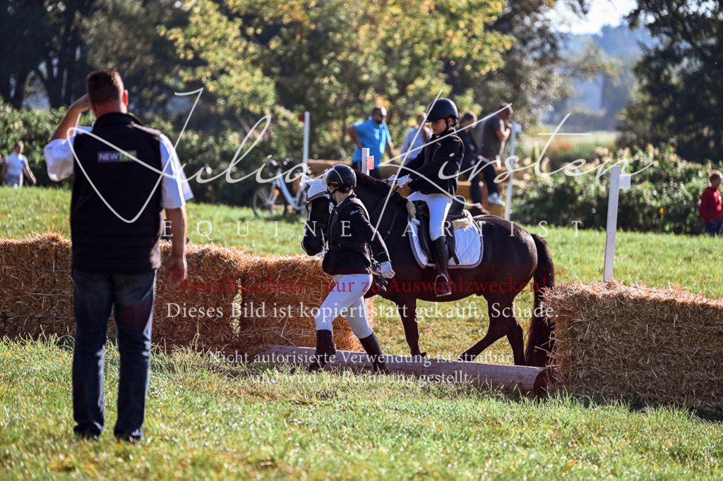 DSC_0378 | Pferde- und Turnierfotografie in Westsachsen. Pferdeportraits, Auftragszeichnungen und intuitive Kunst.