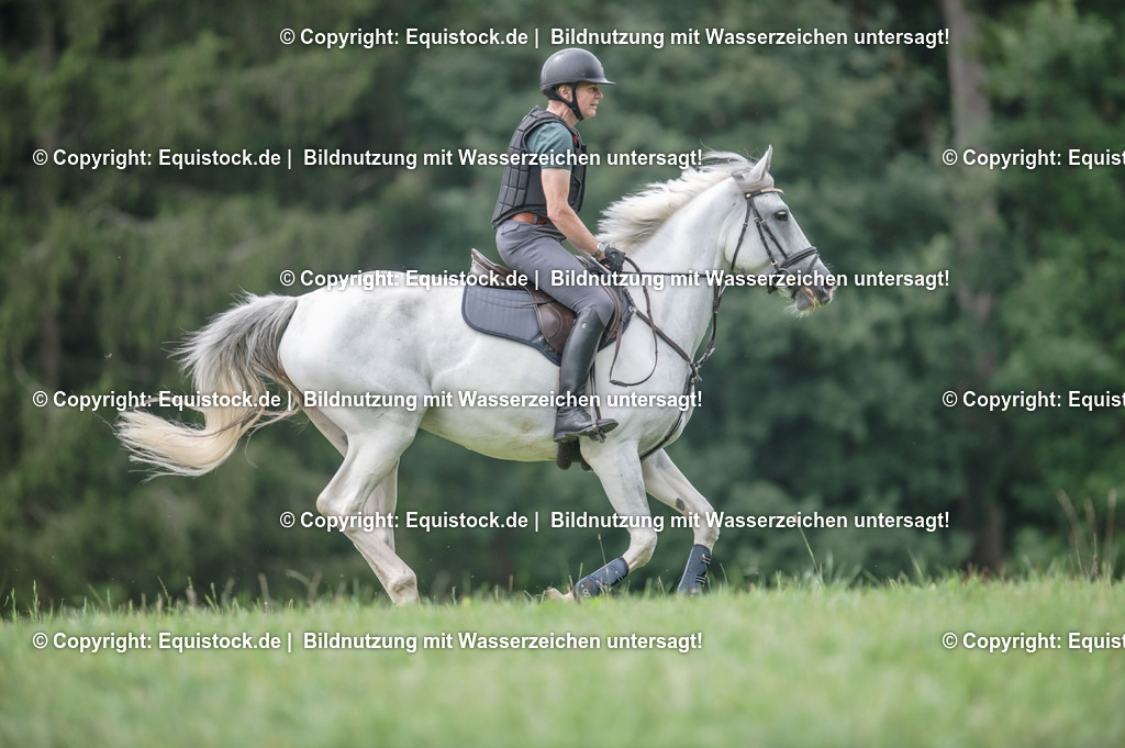 20250726_Vielseitigkeitslehrgang-Marbach_0580 | Foto: Thomas Hartig