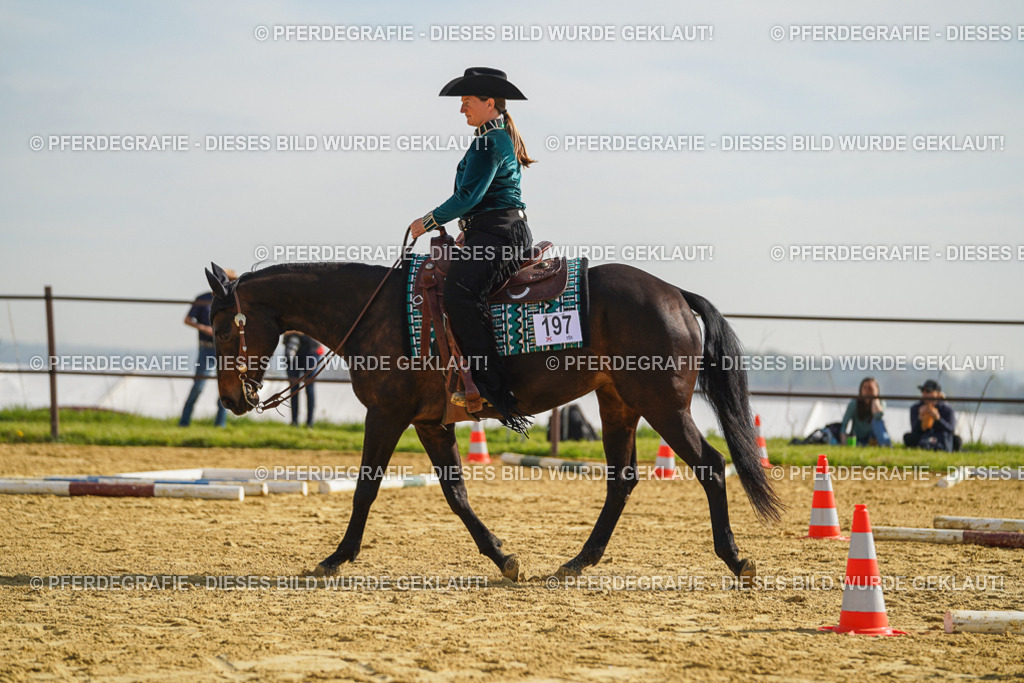 DSC01031 | Pferdegrafie