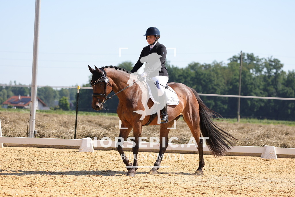 0P6A7512 | Willkommen bei Brunnmayr - Design & Fotografie – Ihrem Spezialisten für Reitturniere und Pferdeveranstaltungen in Oberösterreich, Salzburg und Bayern! Seit über 17 Jahren sind wir leidenschaftlich dabei.