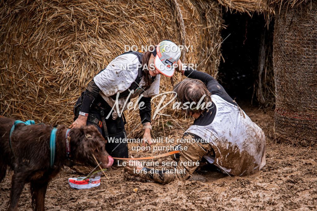 nelerasche_Hunsrück_So09-11_60 | nelerasche