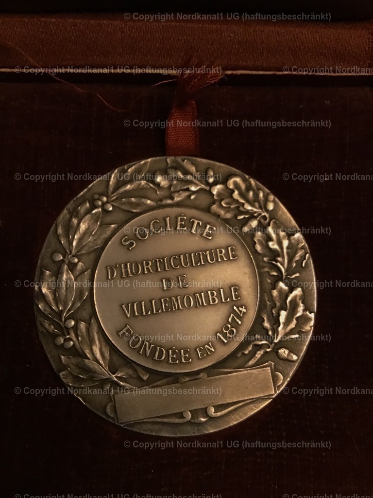 IMG_3124 | photograph1 - Realisiert mit Pictrs.com