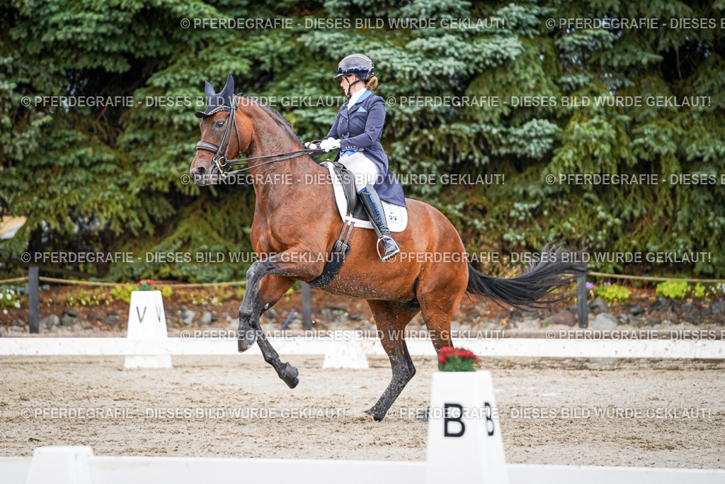 DSC00121 | Pferdegrafie