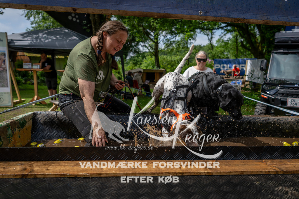 1125_ZZ94248 | kk-dogfotos