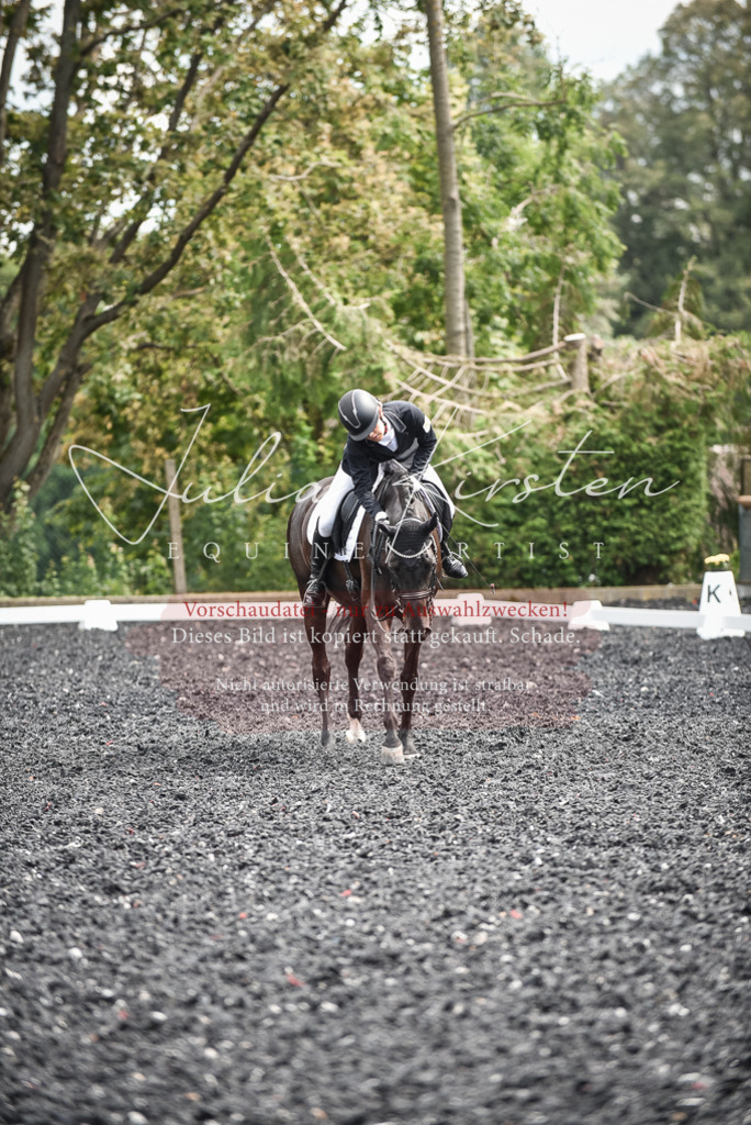 DSC_5081 | Pferde- und Turnierfotografie in Westsachsen. Pferdeportraits, Auftragszeichnungen und intuitive Kunst.
